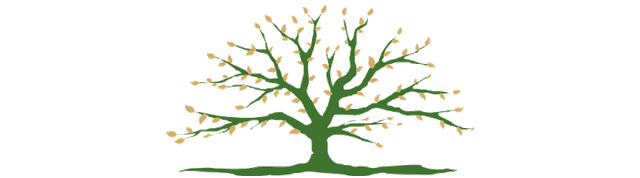 Δέντρο ζωής